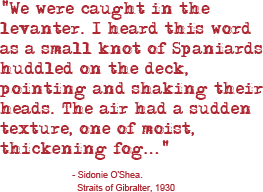 Saffron Gate Excerpt